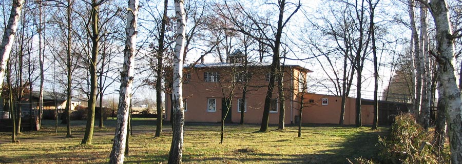 ib-herz